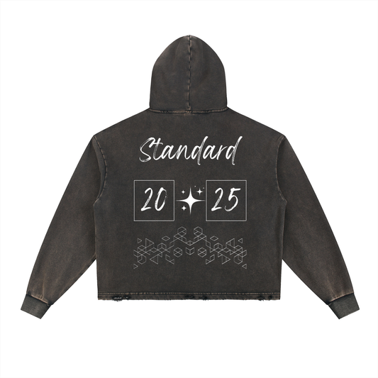 Mens,Hoodie,Top,Longsleeve,Standard,Clean,Fly Casual